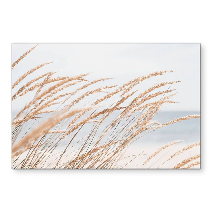 Wandbild Dünengras - Alu-Dibond - WA421746