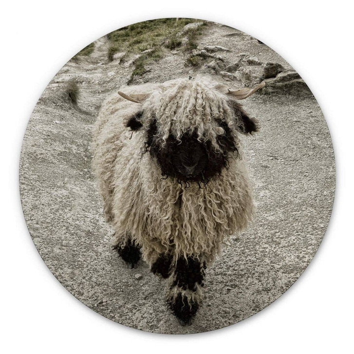 Alu-Dibond Landolt - Ausflug in die Berge - Rund - WA325624