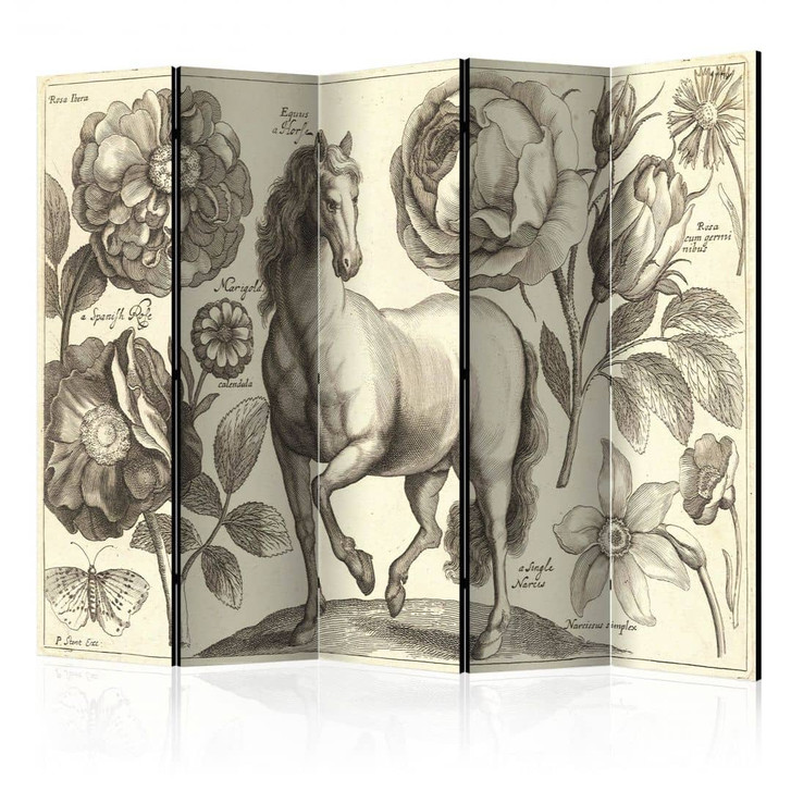 Paravent, Raumteiler freistehend, Trennwand - Pferd, 5-teilig - 225 x 172 cm - WA454703