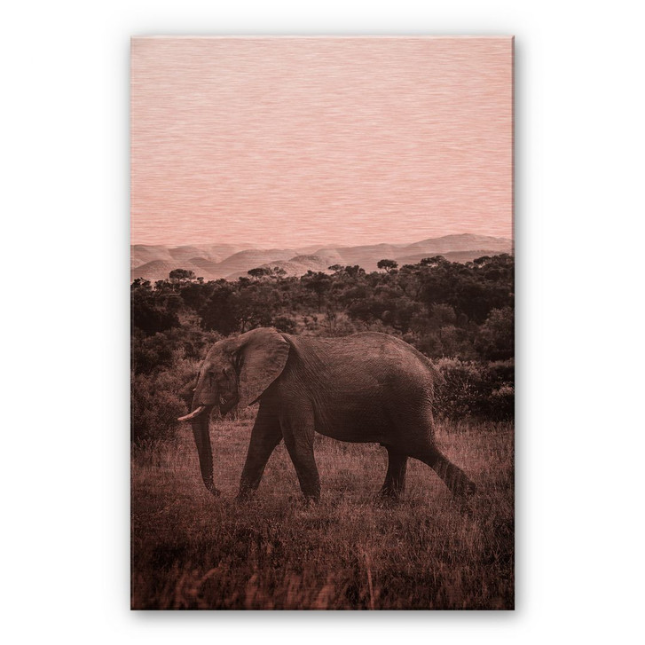 Alu-Dibond Bild mit Kupfereffekt In der Steppe Afrikas - WA231076