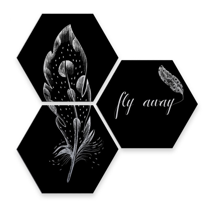 Hexagon - Alu-Dibond-Silbereffekt - Kvilis - Fly away - Feder (3er Set) - WA245155