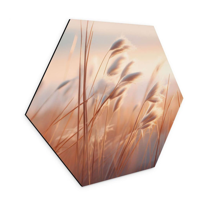 Hexagon Wandbild Dünengras in der Abendsonne - Treechild - Alu-Dibond - WA464766