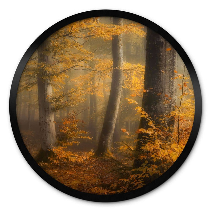 Poster Goldene Blätter im nebligen Wald - Maier - Rund - WA447975
