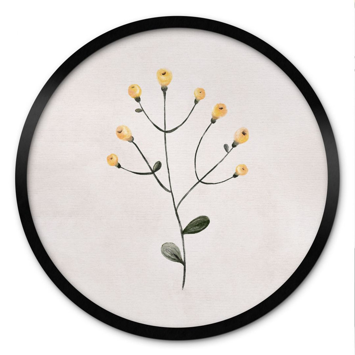 Poster Zarte Pflanze mit gelben Blüten - Goed Blauw - Rund - WA485839