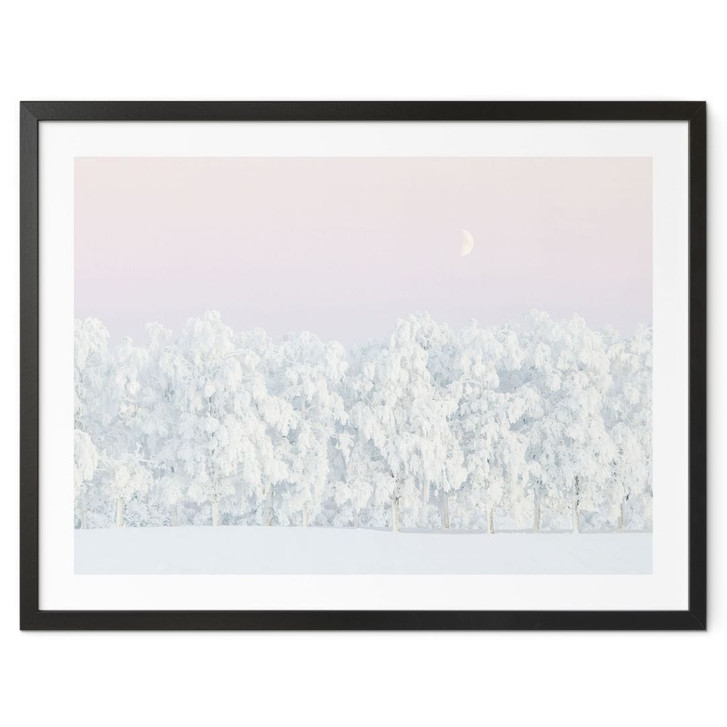 Waldposter Verschneiter Winterwald mit Mond - EMELIEmaria - WA498252