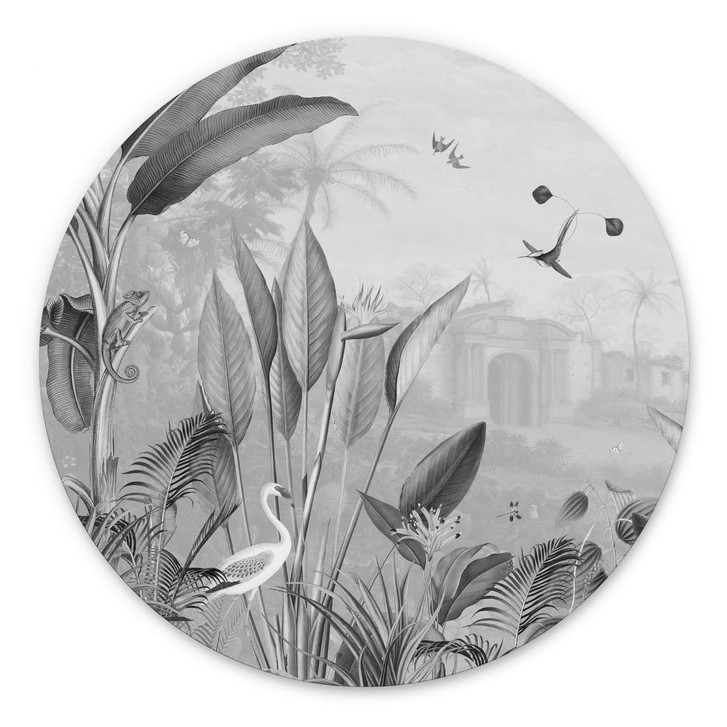 Wandbild Sir Edward - Botanik schwarz-weiss - Alu-Dibond Rund - WA383193