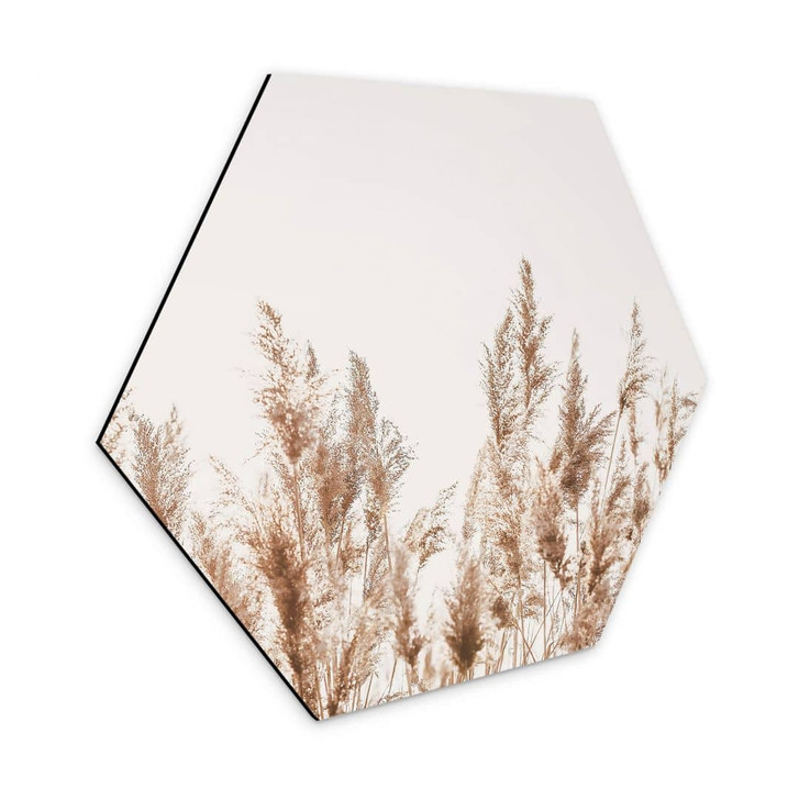 Hexagon - Alu-Dibond Schilfgräser - WA326700