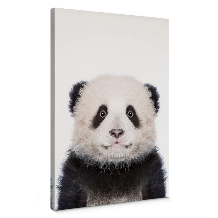 Leinwandbild Sisi & Seb - Baby Panda - WA374795