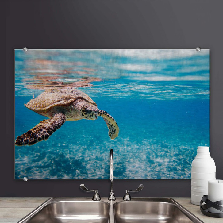 Spritzschutz Schildkröte auf Reisen - WA179352