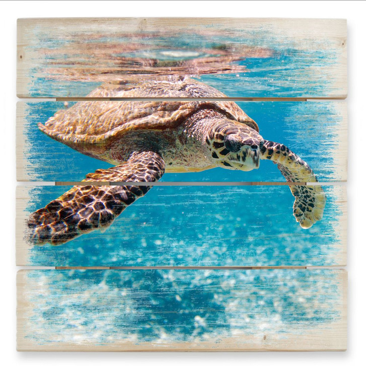 Holzbild Schildkröte auf Reisen - 40 x 41.5 cm - WA132418