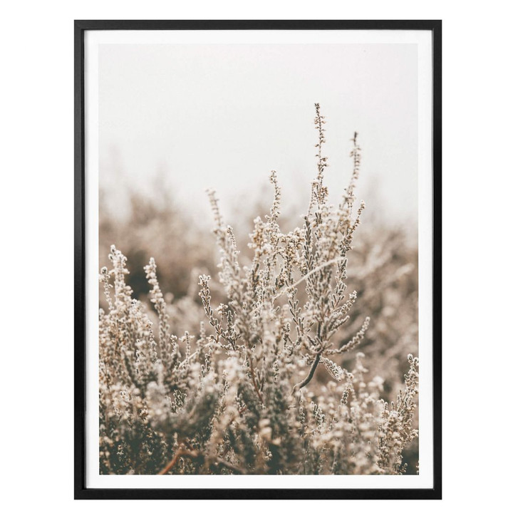 Poster Annie - Gräser - WA317552