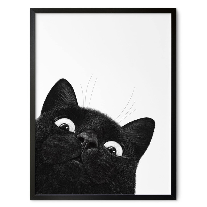 Poster Lustige schwarze Katze - Korenkova - WA517663