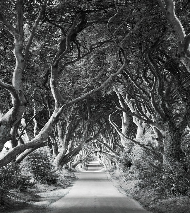 Digitaldrucktapete Forevenue - KOSHX5-033