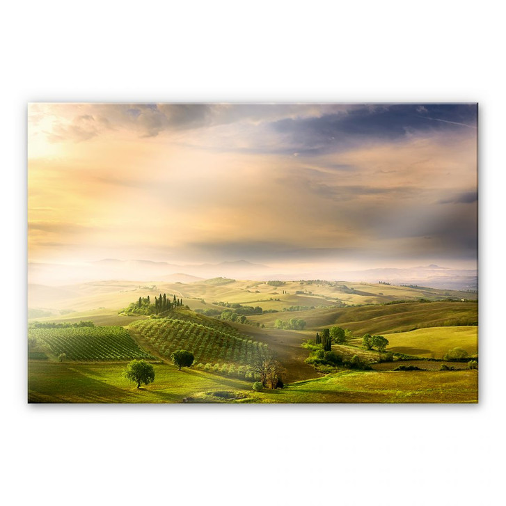 Acrylglasbild Bratkovic - Podere Belvedere - WA107543