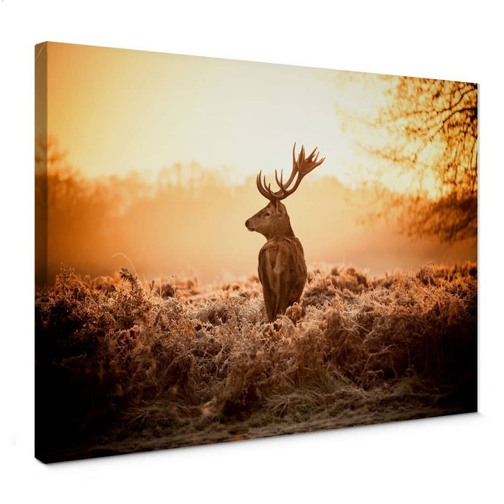 Leinwandbild Majestätischer Hirsch - WA369565