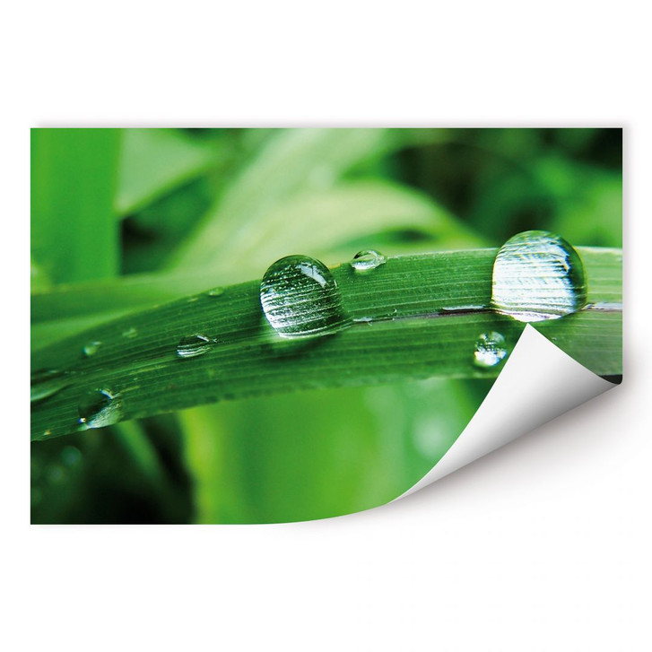 Wallprint Natur 4 - WA187172