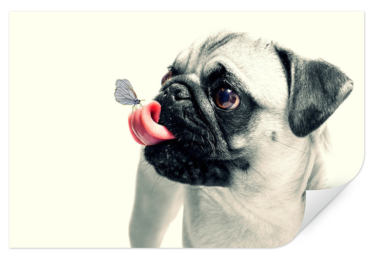 Wallprint Tierische Zuneigung - WA189717