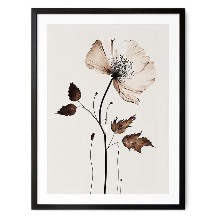 Blumen Poster - Trockenblüte in Creme - Treechild - WA408206