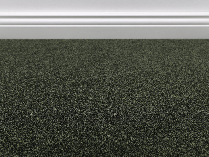 Evolve Teppichboden Meterware in 28 - TS554202