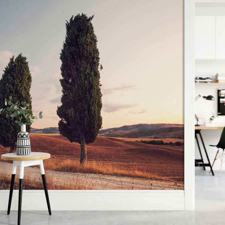 Fototapete Colombo - Drei Zypressen am Weg - 384x260cm - WA297537