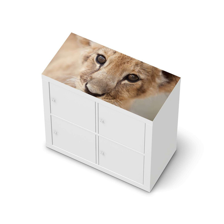 Möbelfolie IKEA Kallax Regal oben - Simba - CR115603
