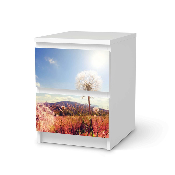 Möbelfolie IKEA Malm Kommode 2 Schubladen - Dandelion - CR116126