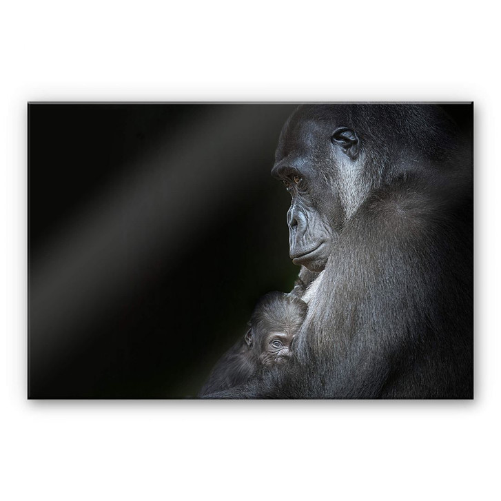 Acrylglasbild Cuadrado - Tenderness - WA299056