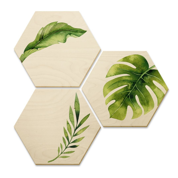 Hexagon - Holz Birke-Furnier - Kvilis -Dschungel 04 (3er Set) - WA233291