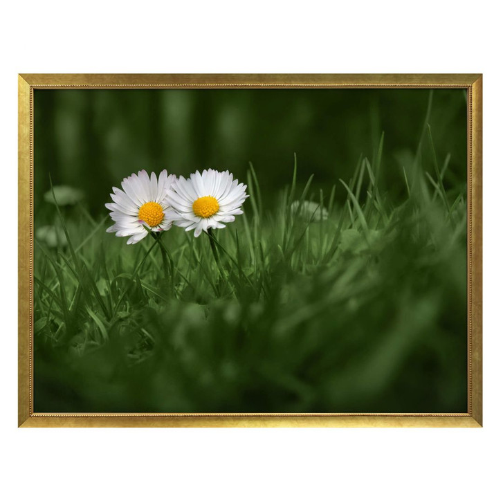 Poster Ben Heine - Zwei Gänseblümchen - WA238469