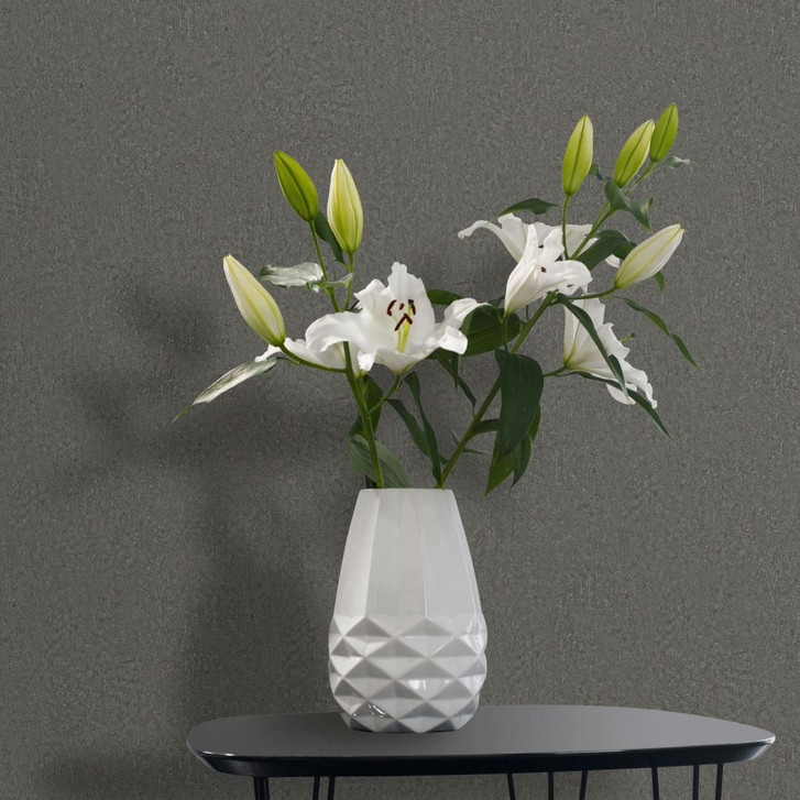 Vliestapete in Grau Strukturierte Putzoptik Uni - WA450824