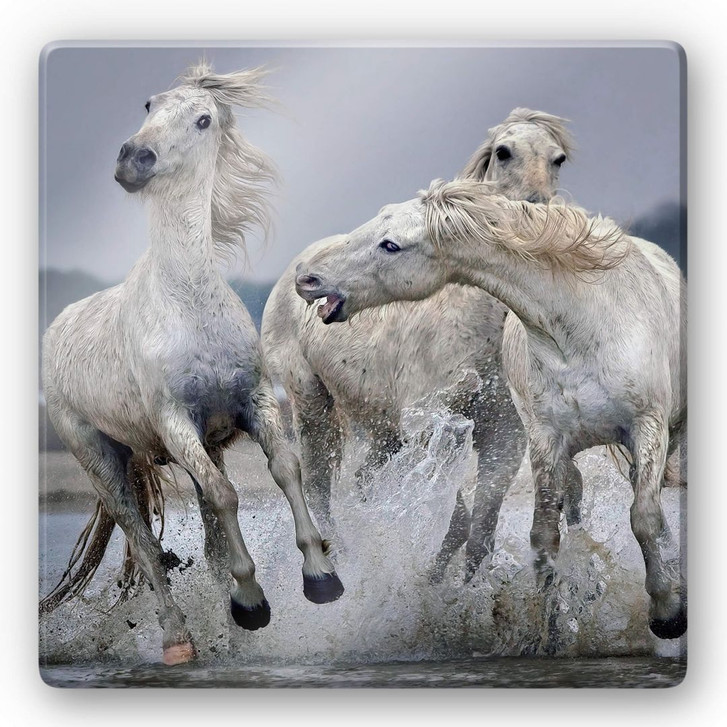 Glasbild Keates - Move over  - WA252903