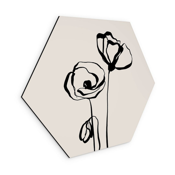 Hexagon Wandbild Line Art Zwei Mohnblumen - Cats & Dotz - Alu-Dibond - WA491604
