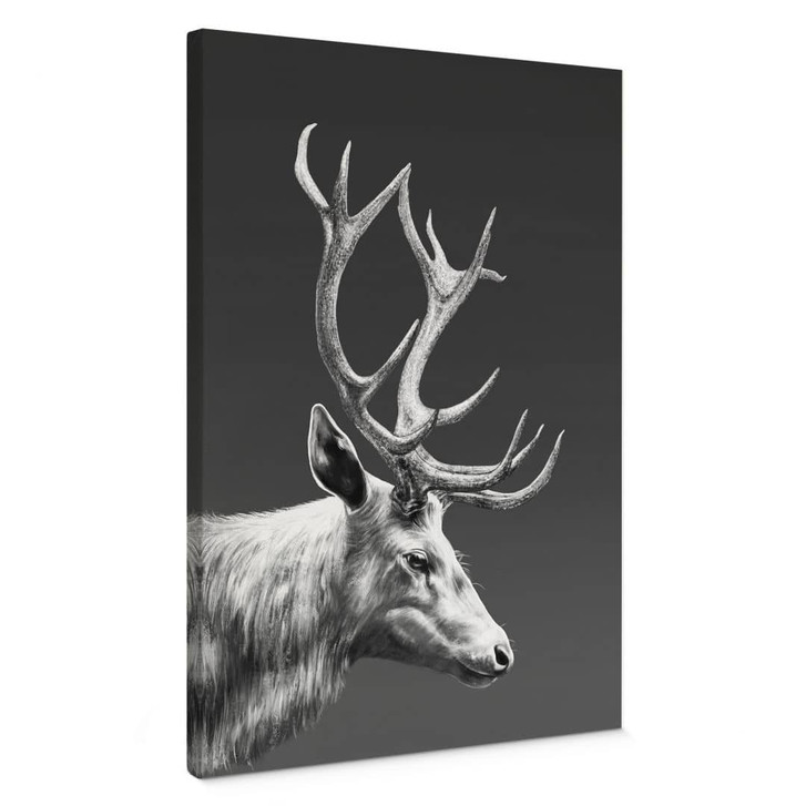 Leinwandbild Hirsch mit Geweih schwarz-weiss - Roberg - WA444019