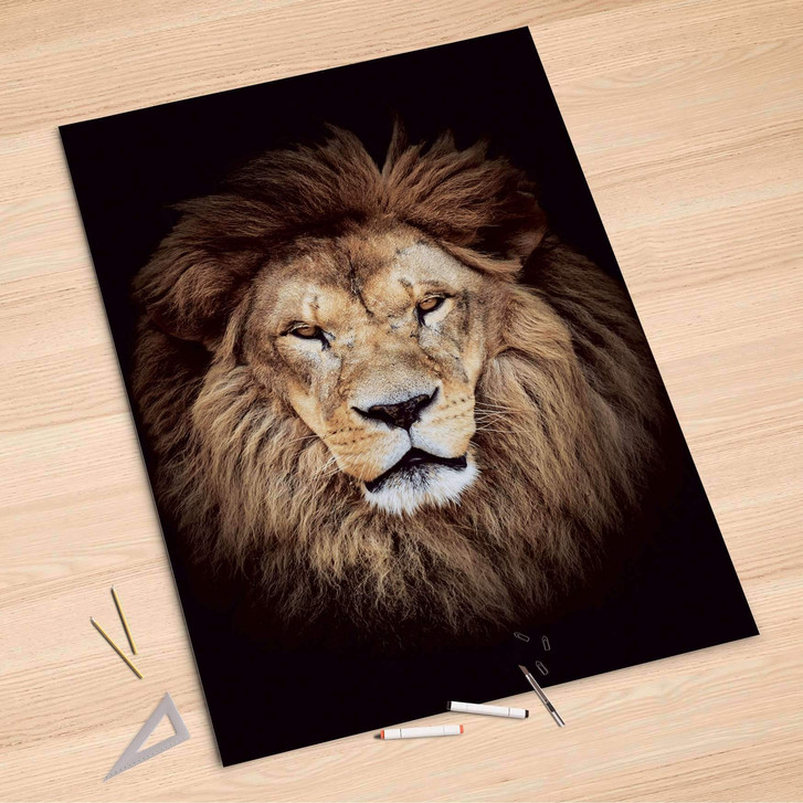 Folienbogen (100x150cm) - Wild Eyes - CR106310