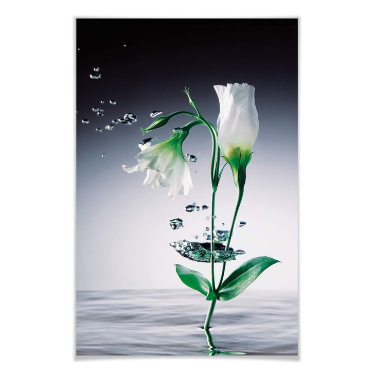Giant Art® XXL-Poster Crystal Flowers - 115x175cm - WA295194