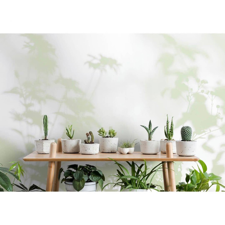 Livingwalls Fototapete Walls by Patel 3 Shadow Room 3 grün, weiss - WA328053