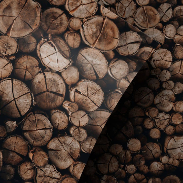 Möbelfolie Baumstämme - WA255604