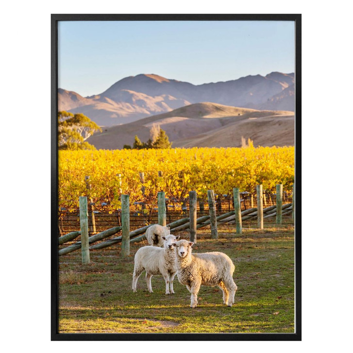 Poster Colombo - Sonnenuntergang in den Bergen - WA279433