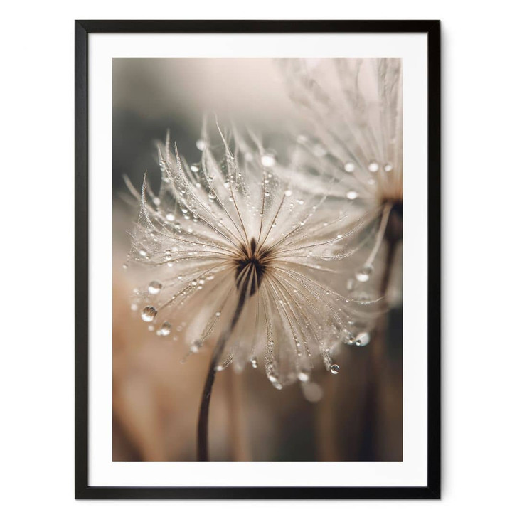 Poster Pusteblume in Morgentau - Treechild - WA409551
