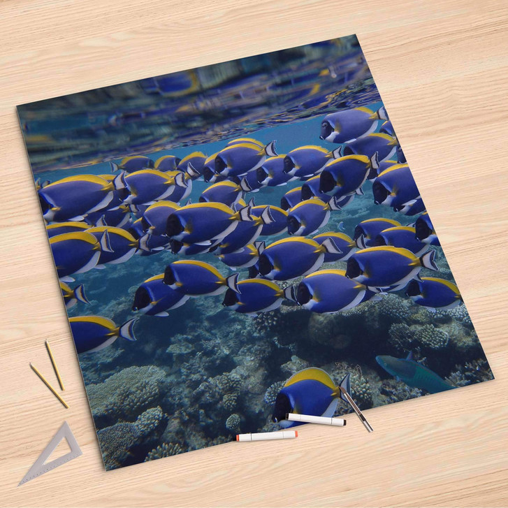 Folienbogen (90x90cm) - Fish swarm - CR107546
