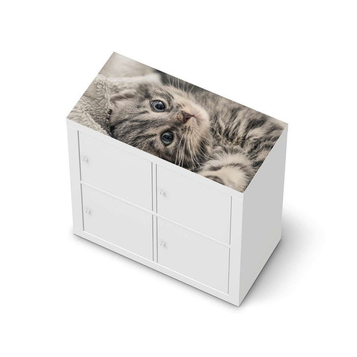 Möbelfolie IKEA Expedit Regal oben - Kitty the Cat - CR114644
