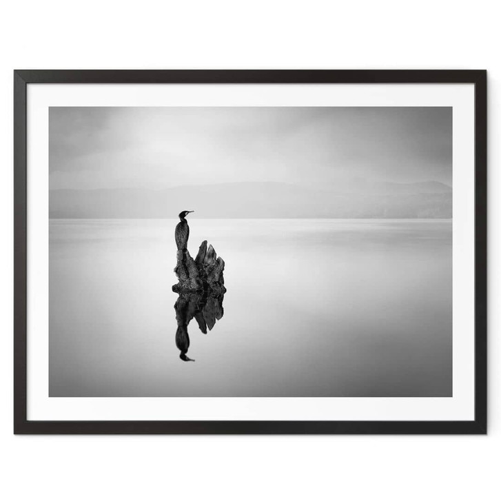 Poster Digalakis - Eleganter Wasservogel - WA348748