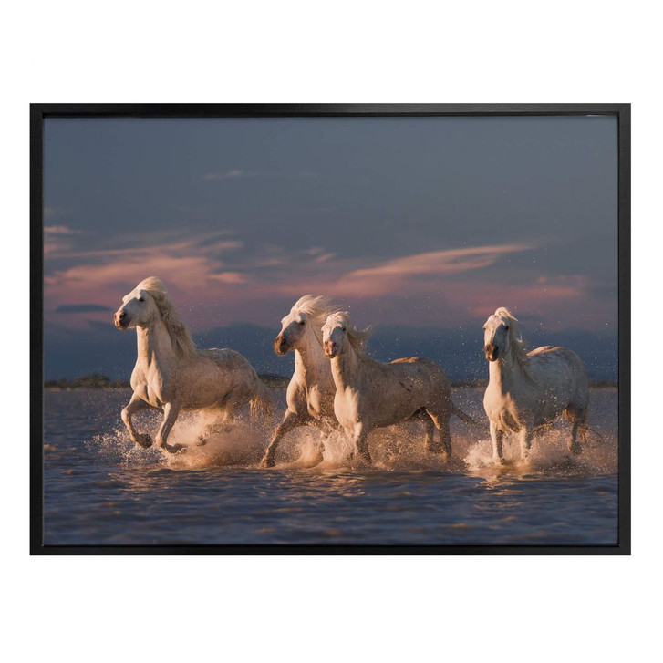 Poster Rostovskiy - Angels of Camargue - WA239606