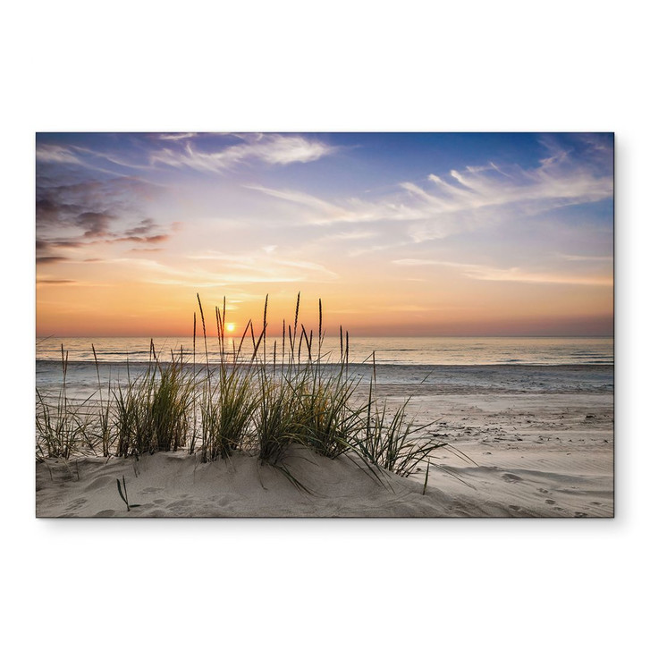 Wandbild Düne am Strand bei Sonnenuntergang - Alu-Dibond - WA422502