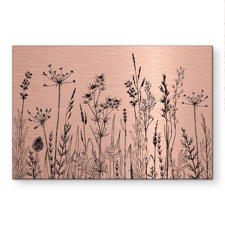 Alu-Dibond gebürstet mit Kupfereffekt - Feldblumen Illustration - WA513793