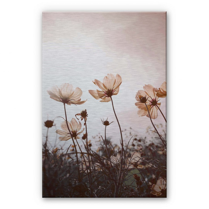 Alu-Dibond Bild mit Silbereffekt Wilde Wiese - WA244476