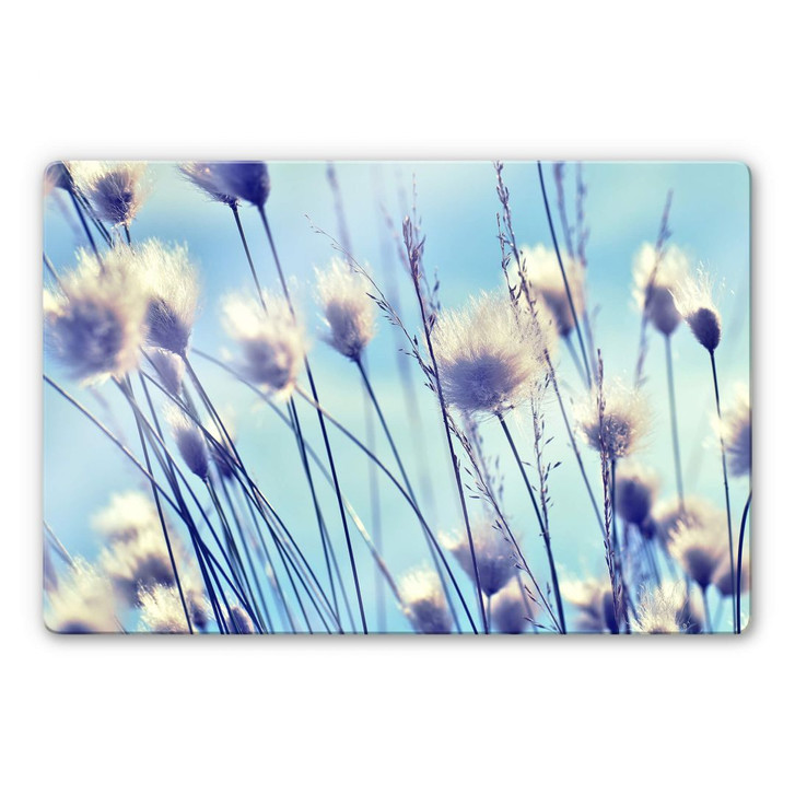 Glasbild Delgado - Wind im Gras - WA271718