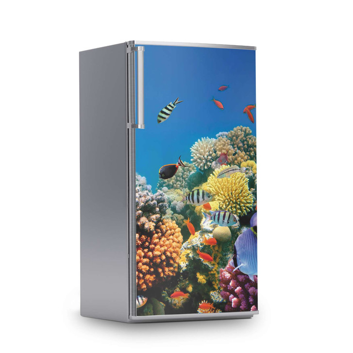 Kühlschrankfolie 60x120cm - Coral Reef - CR112820