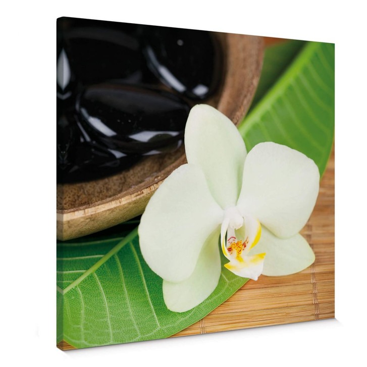 Leinwandbild Wellness Oase - quadratisch - WA377125