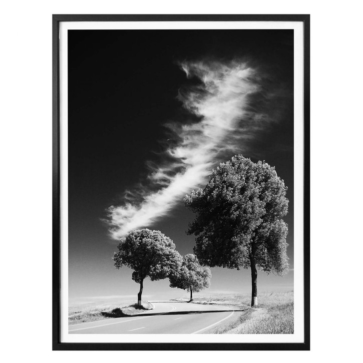 Poster Silver Linings - WA166729